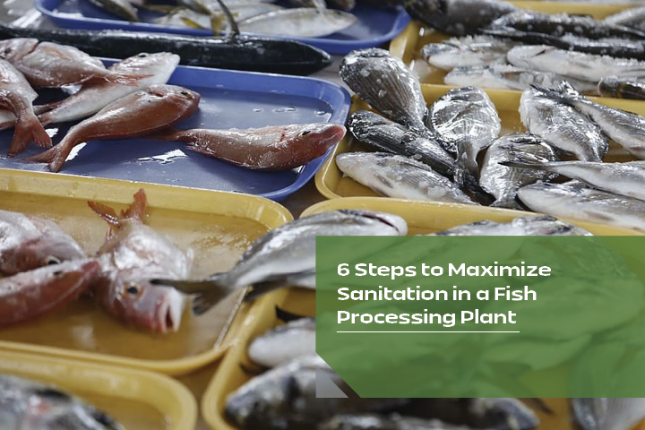 6 Steps to Maximize Sanitation in a Fish Processing Plant-1