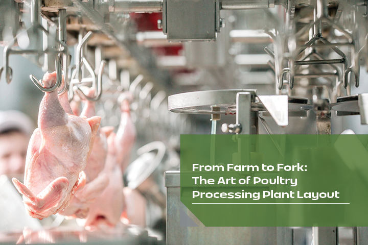 The Art of Poultry Processing Plant Layout
